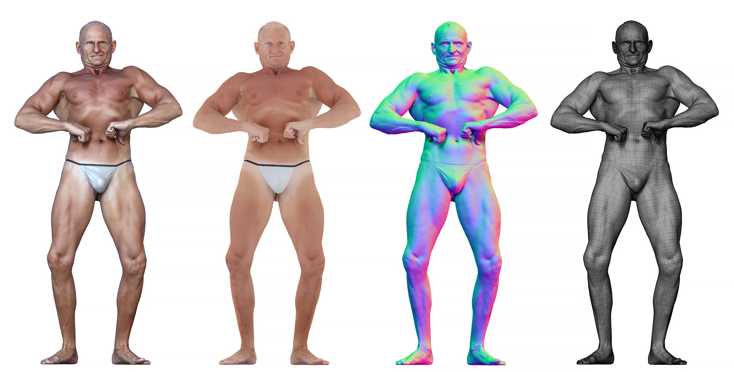 Male Anatomy 3d reference download scans